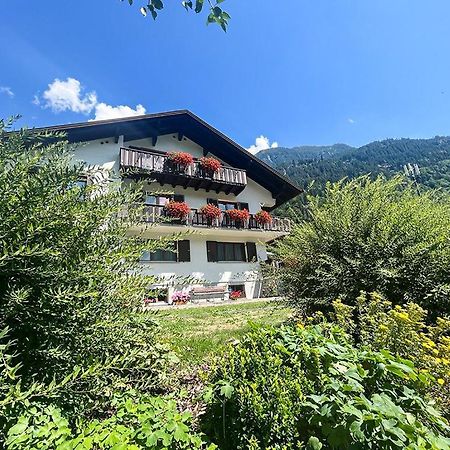 Апартаменти Haus Netzer Elisabeth Санкт-Галленкірх Екстер'єр фото